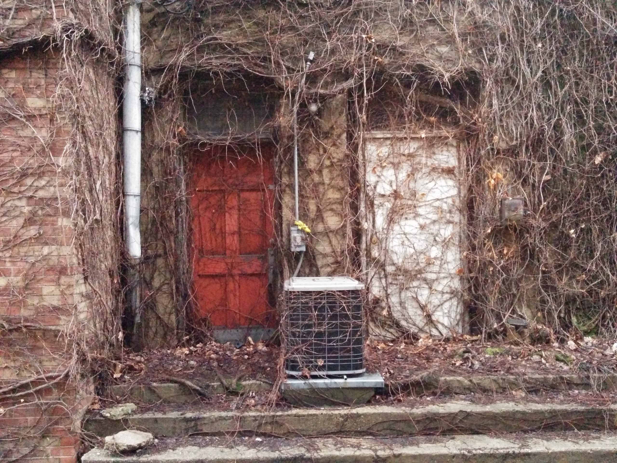 Photo of two door ways in an alley